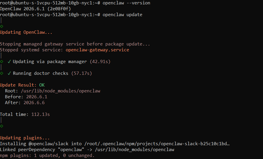 Terminal showing OpenClaw updated from version 2026.6.1 to 2026.6.6 with doctor checks and plugin updates.