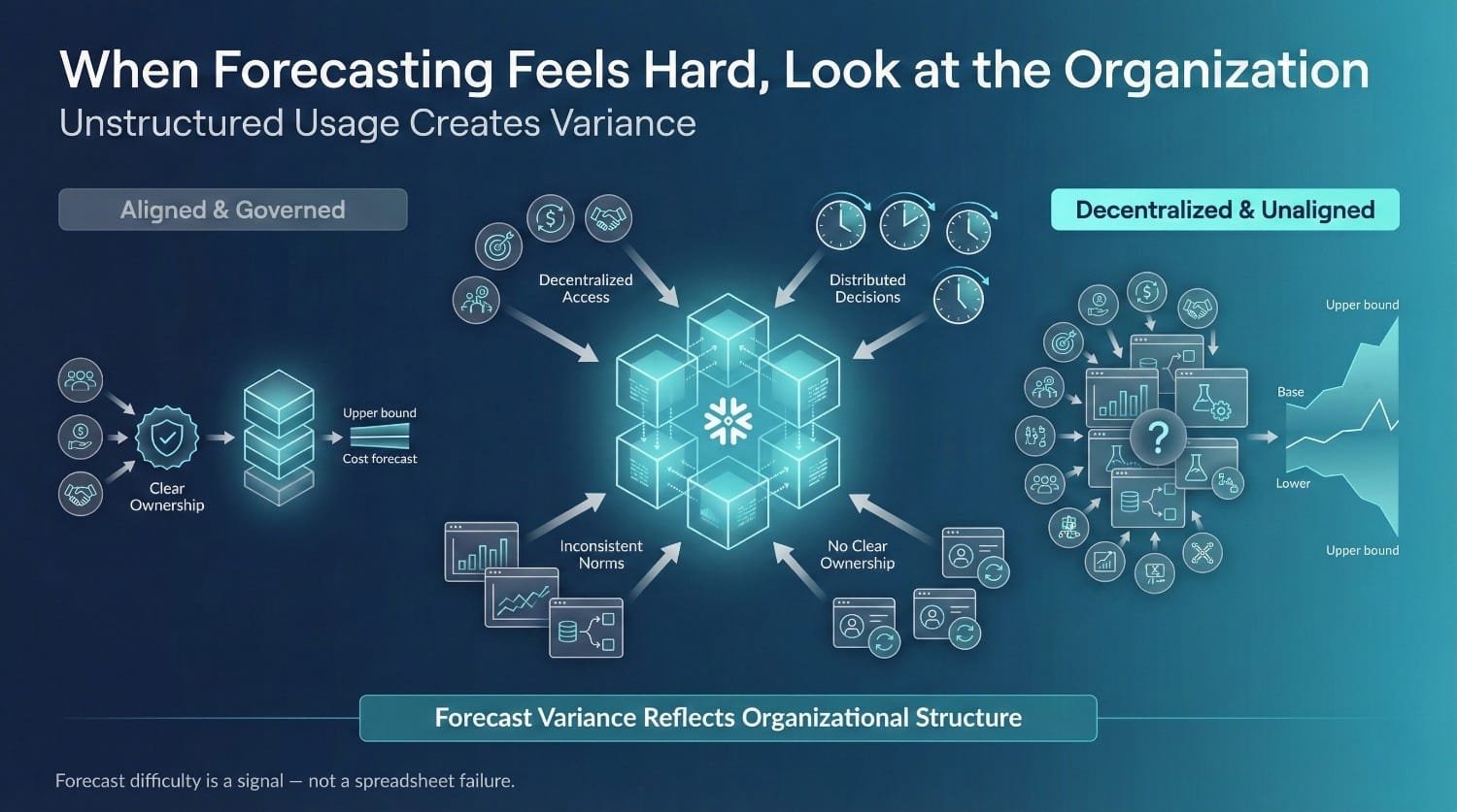 Organizational Structure Forecast Variance