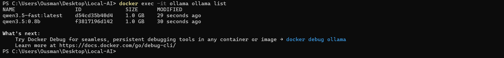 Terminal running docker exec -it ollama ollama list to display the local AI models installed in the Ollama container.